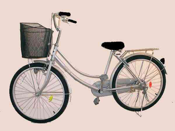 24 inch Lady Bike.jpg (27036 bytes)